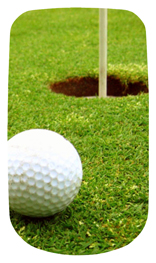 DAROYAL 342 Gone Golfing (Balls)